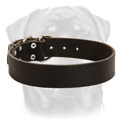 Easy walk leather dog collar