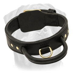 Brand leather dog collar