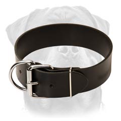 Superior leather dog collar