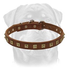 Superior leather dog collar