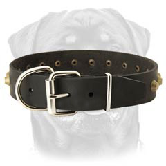 Studded leather dog collar