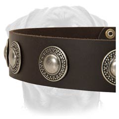 Universal leather dog collar