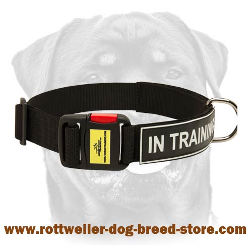 Get Nylon Rottweiler Collar, Velcro Patches