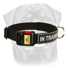 Nylon dog collar of best quality