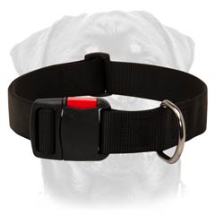 Custom made nylon dog collar
