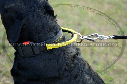 Finest Doberman Nylon Collar