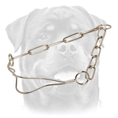 Strong Rottweiler collar with fur-saving links