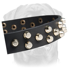 Studded leather collar