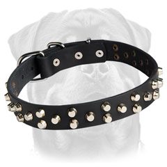 Unique leather collar