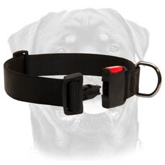 Practical nylon dog collar