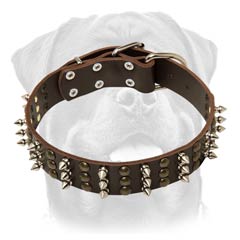 Durable leather dog collar