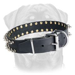 Leather dog collar with buckle and D-ring