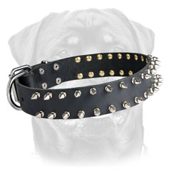 Leather Rottweiler collar black spiked