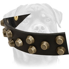 Neat pretty brass cones set in fashionable mode