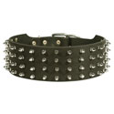 Spiked Collars Dog