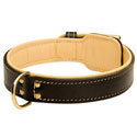 Leather Collar Rottweiler 