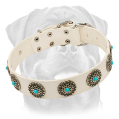 Elegant white leather dog collar for walking in style