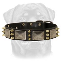 Durable leather dog collar