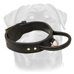 Wonderful training leather dog collar
