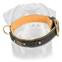 New dog collar leather with brass fittings