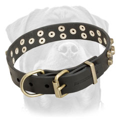 Leather dog collar with brass hardware