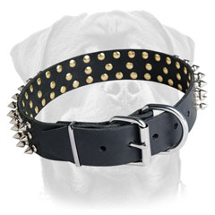 Leather Rottweiler collar with symmetrical spikes