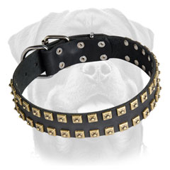 Handmade Rottweiler collar brass studded