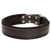 Leather dog collar padded with thick felt