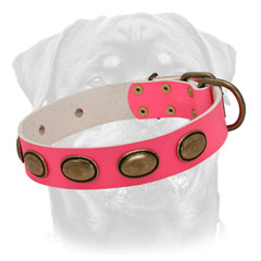 Pink leather dog collar for making your female very beautiful
