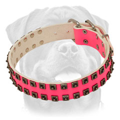 Leather pink dog collar with nickel plated pyramids