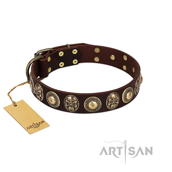 Incredible leather dog collar for walking