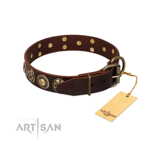 Corrosion proof embellishments on daily walking dog collar