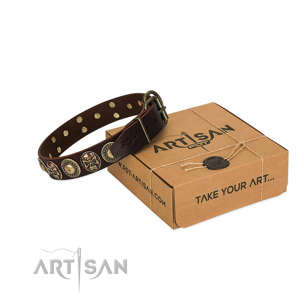 Adorned full grain leather dog collar for stylish walking