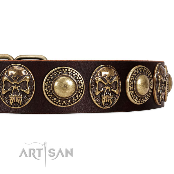 Full grain natural leather dog collar with adornments for daily use