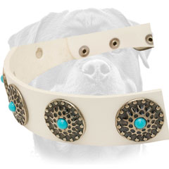 Sophisticated conchos set in sinlge row