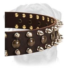 Wonderful leather dog collar with spikes