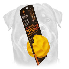 Rottweiler     tetraflex ball for chewing