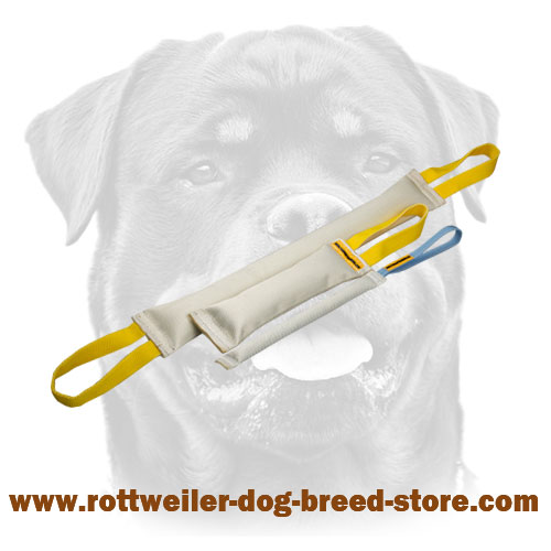 Rottweiler Training supplies bite tugs set made fire hose