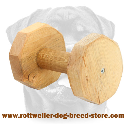 rottweiler exercise build high quality dumbbell for rottweiler 1000g wd2 1018 dumbbell 1000g rottweiler exercise build high quality dumbbell for rottweiler 1000g wd2 1018 dumbbell 1000g