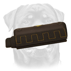 Rottweiler Bite Developer with Upper Nylon Handle