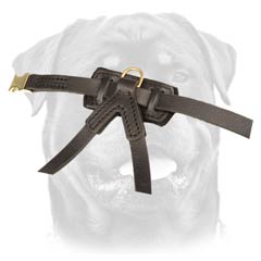 Obedience training harness for puppy