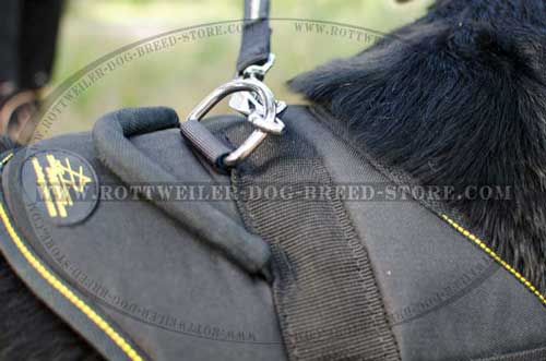 Premium Quality Nylon Dog Harness with Handle