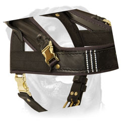 Rottweiler Leather Harness Of Original Design