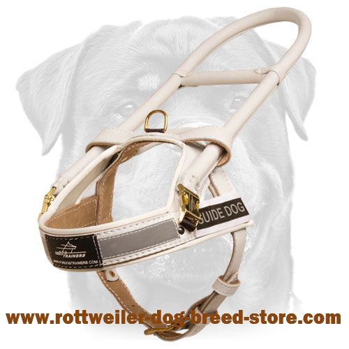 Off White Harness - Leather harness for your dog