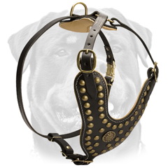 Exclusive studded leather dog harness