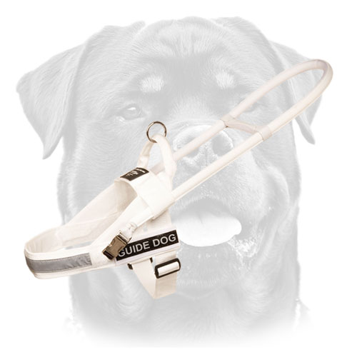 Rottweiler Nylon White Walking Harness