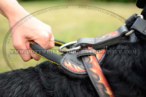 Easy Walking Dog Harness