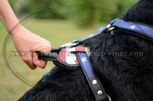 High Quality Rottweiler Leather Harness