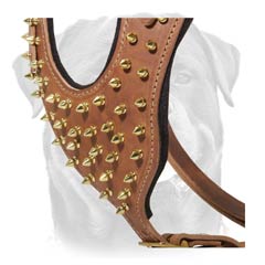 Unique leather dog harness with spikes