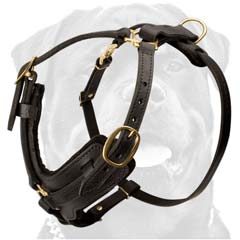 Excellent comfortable leather dog harness